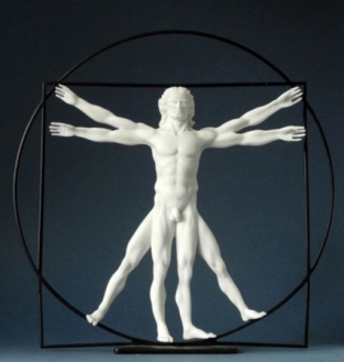 Beeld Vitruvian Man Da Vinci